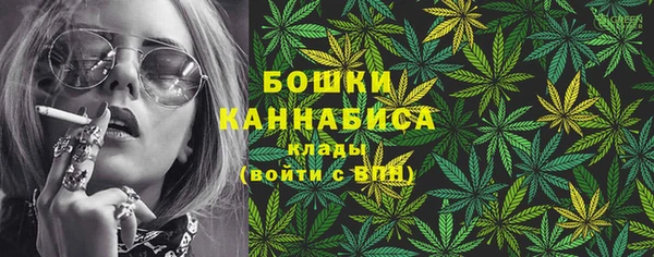 сатива Армянск