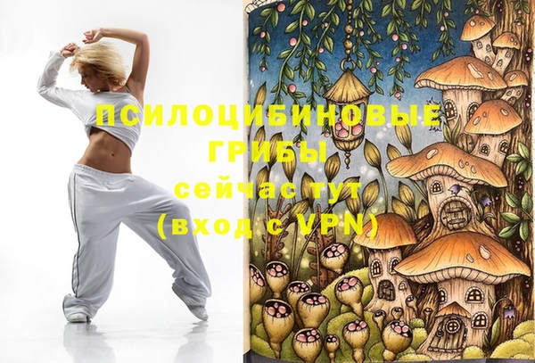 сатива Армянск