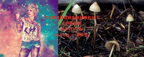 ПСИЛОЦИБИНОВЫЕ ГРИБЫ Аркадак