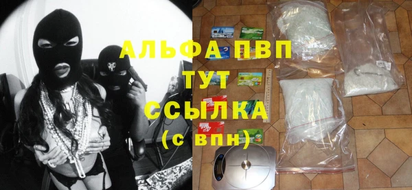 сатива Армянск