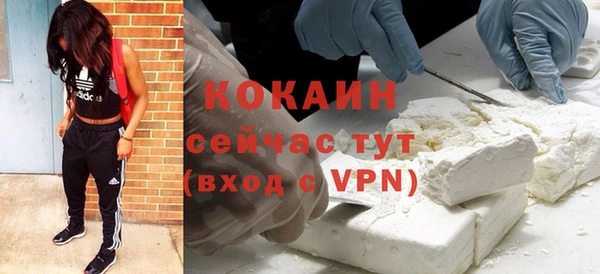 дживик Балахна