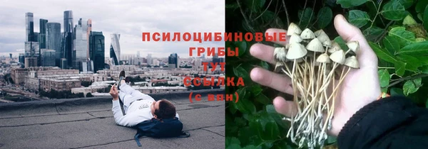 сатива Армянск