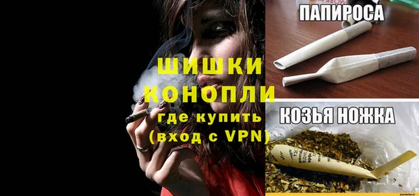 ПСИЛОЦИБИНОВЫЕ ГРИБЫ Аркадак
